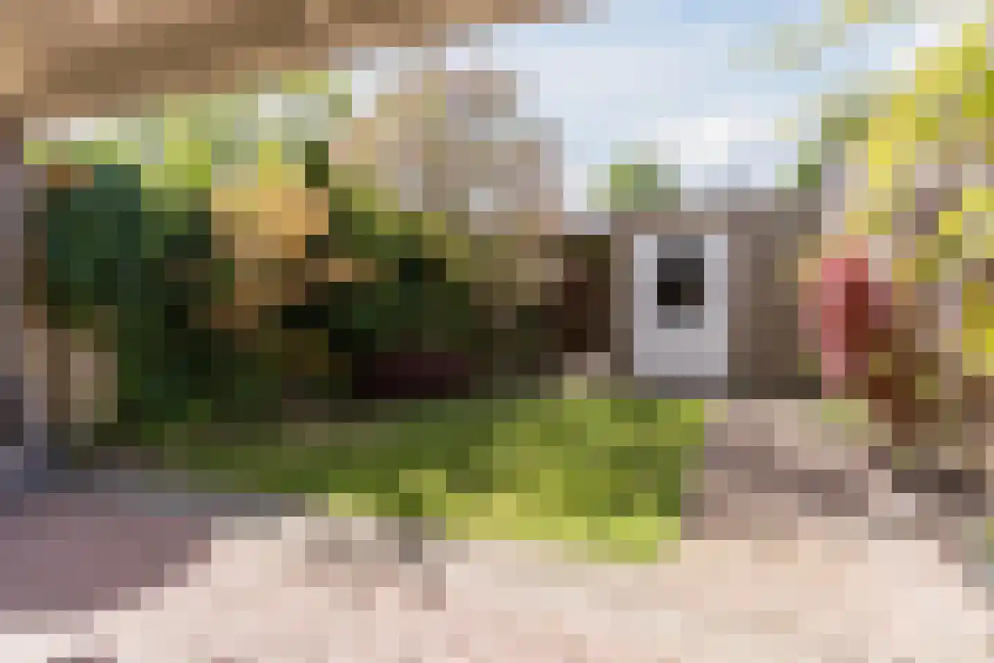 de Vang 13 Bergeijk thumbnail 26