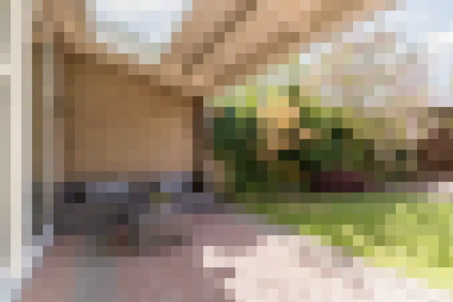 de Vang 13 Bergeijk thumbnail 27