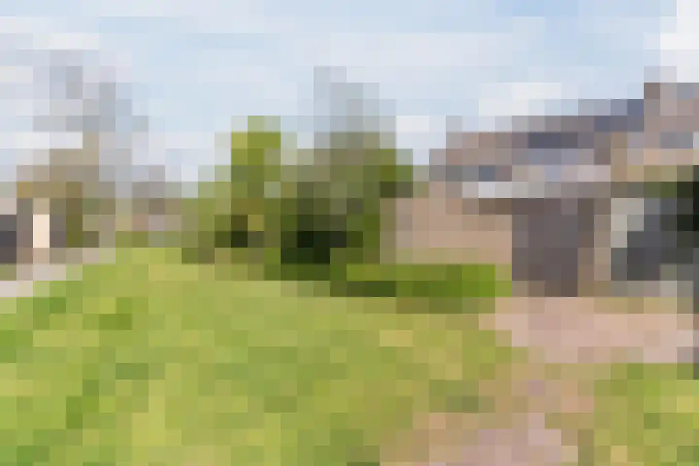 de Vang 13 Bergeijk thumbnail 31