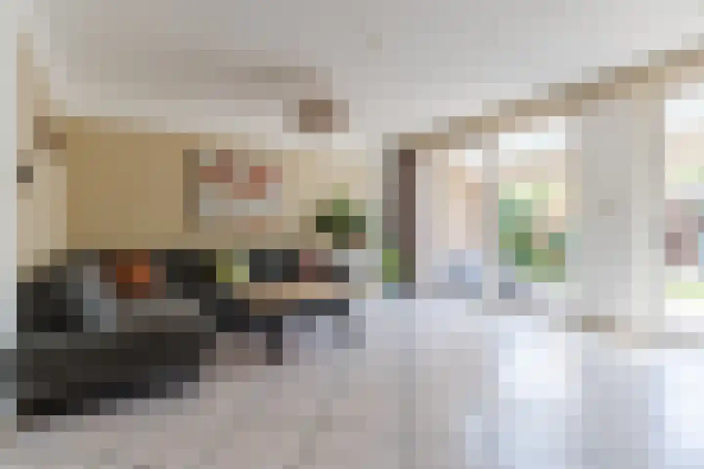 de Vang 13 Bergeijk thumbnail 7