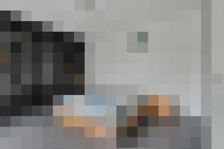De Veilingmeester 13 Kapelle thumbnail 16