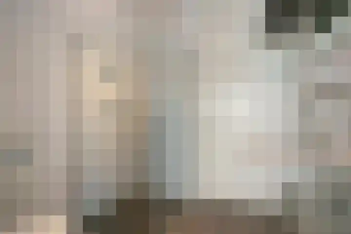 De Veilingmeester 13 Kapelle thumbnail 20