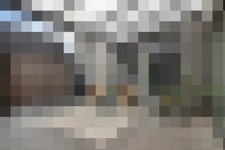 De Veilingmeester 13 Kapelle thumbnail 25
