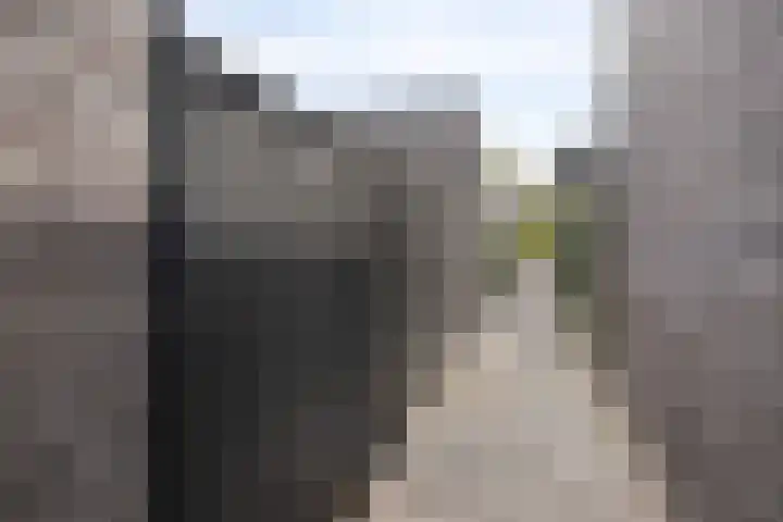 De Veilingmeester 13 Kapelle thumbnail 26