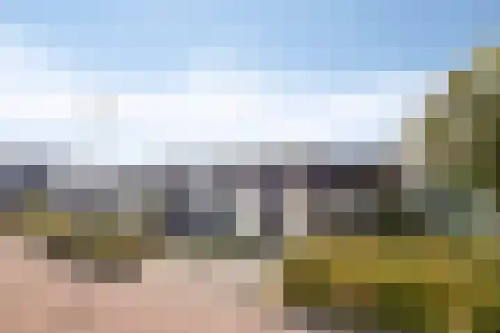 De Veilingmeester 13 Kapelle thumbnail 27
