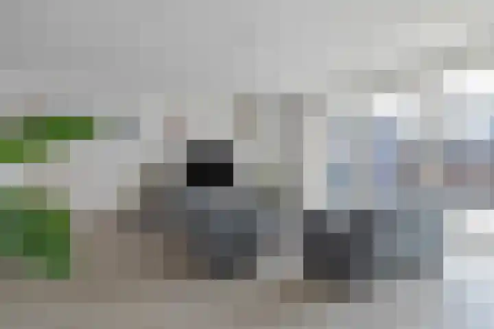 De Veilingmeester 13 Kapelle thumbnail 6