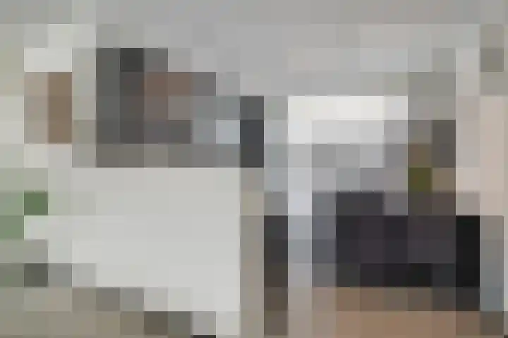 De Veilingmeester 13 Kapelle thumbnail 9