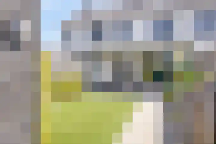 De Veilingmeester 8 Kapelle thumbnail 22