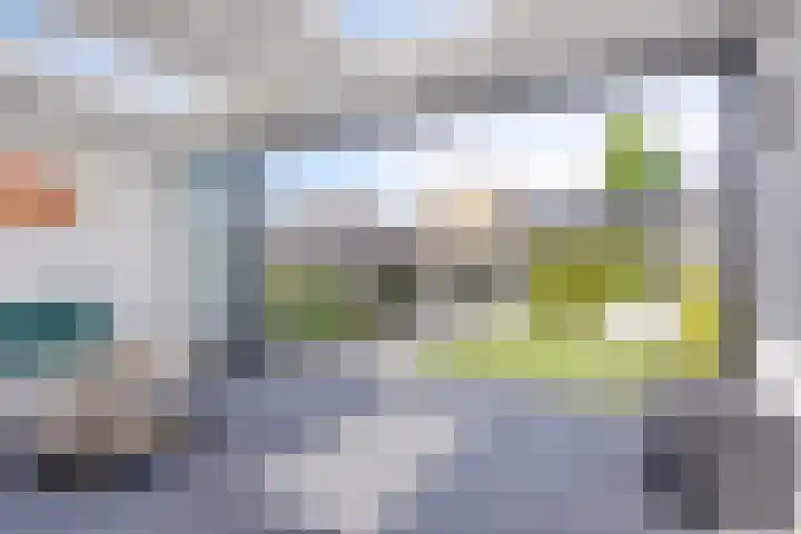 De Veilingmeester 8 Kapelle thumbnail 25