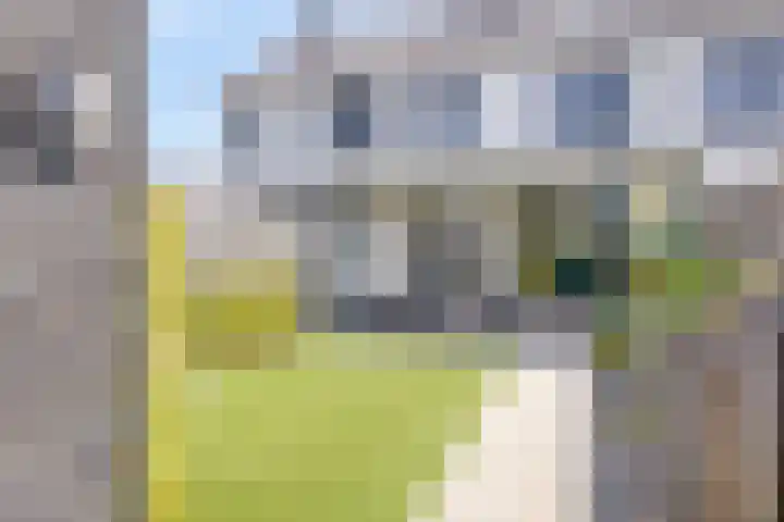 De Veilingmeester 8 Kapelle thumbnail 4