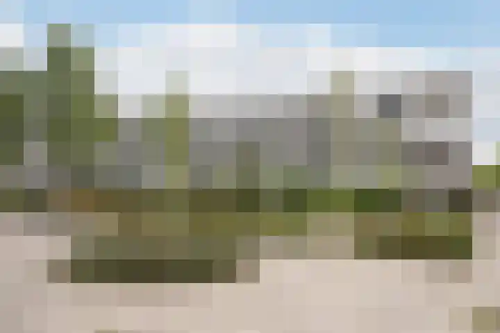 De Velden 34 Schiedam thumbnail 20