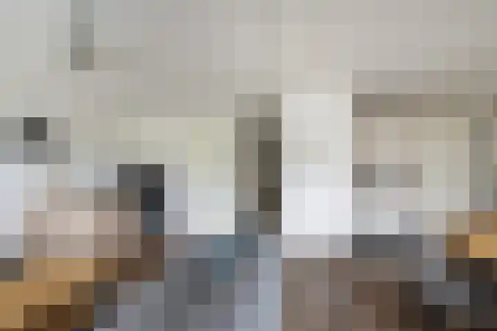 De Velden 34 Schiedam thumbnail 6