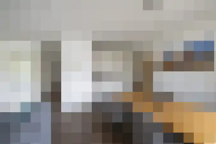 De Velden 34 Schiedam thumbnail 7