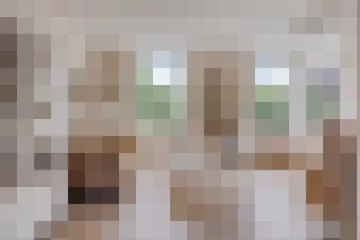 de Veldkamp 1 Gieten thumbnail 13