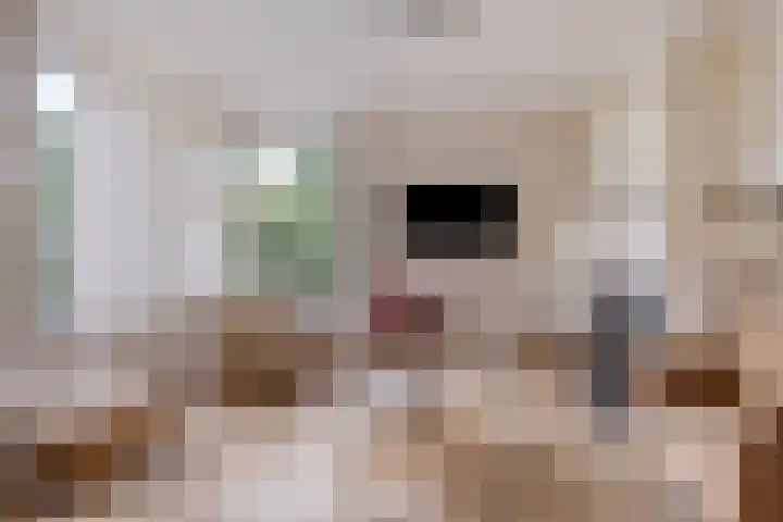 de Veldkamp 1 Gieten thumbnail 14