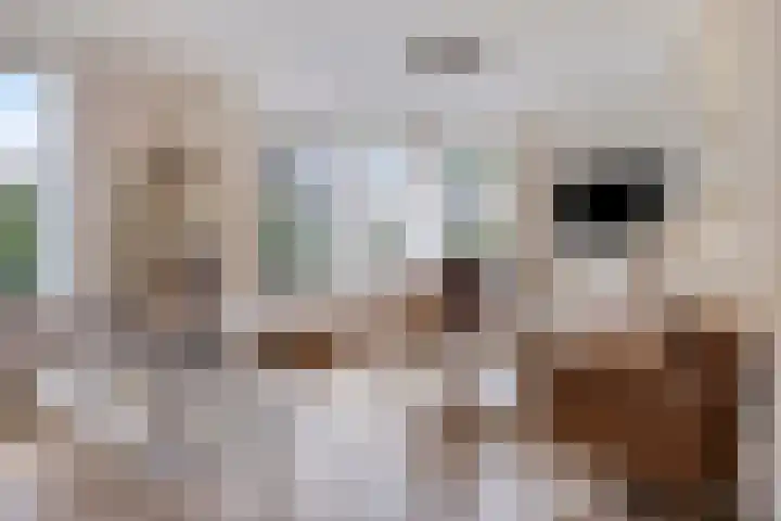de Veldkamp 1 Gieten thumbnail 15