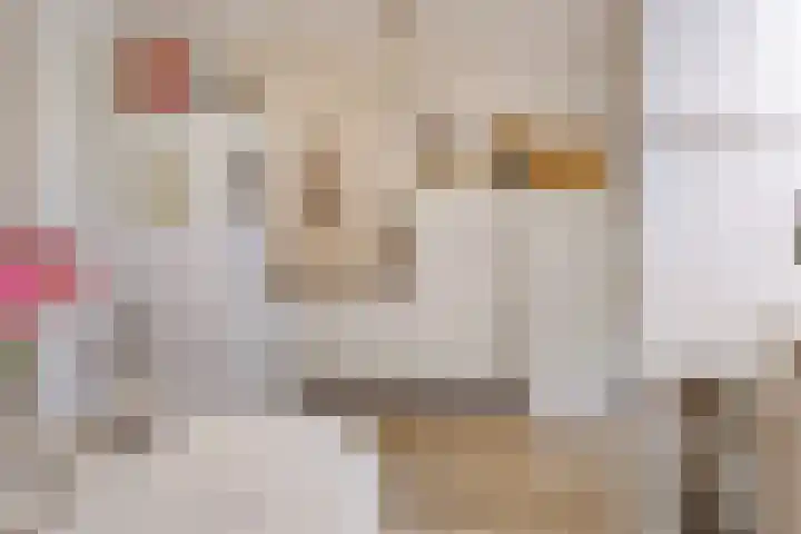 de Veldkamp 1 Gieten thumbnail 19
