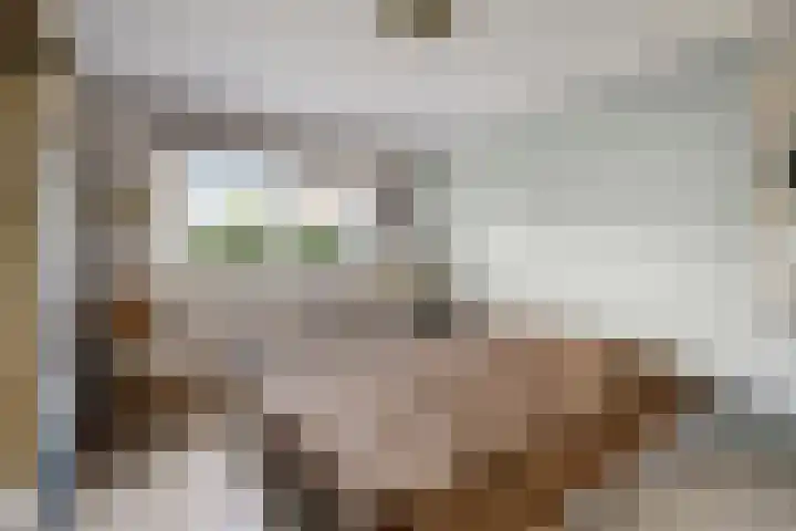 de Veldkamp 1 Gieten thumbnail 23