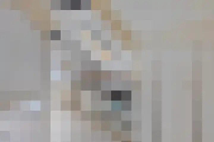 de Veldkamp 1 Gieten thumbnail 33
