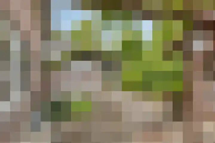 de Veldkamp 1 Gieten thumbnail 37