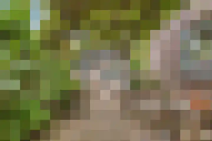 de Veldkamp 1 Gieten thumbnail 40