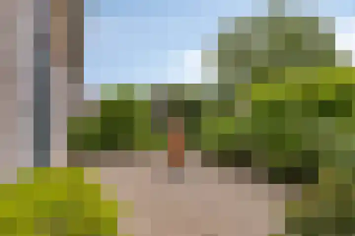 de Veldkamp 1 Gieten thumbnail 41