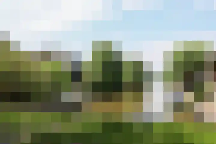 De Velduil 41 Harlingen thumbnail 66