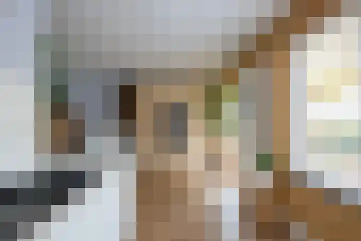De Venne 10 Beilen thumbnail 12