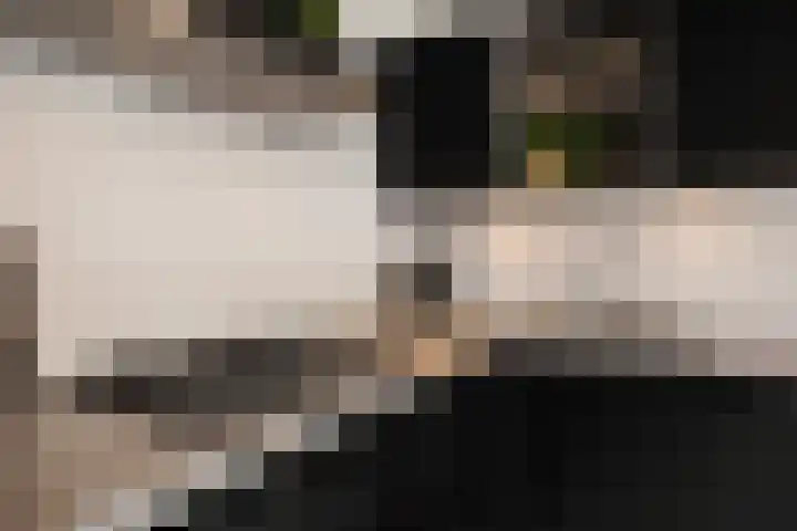 De Venne 10 Beilen thumbnail 13