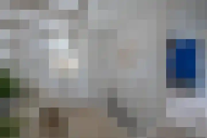 De Venne 10 Beilen thumbnail 15