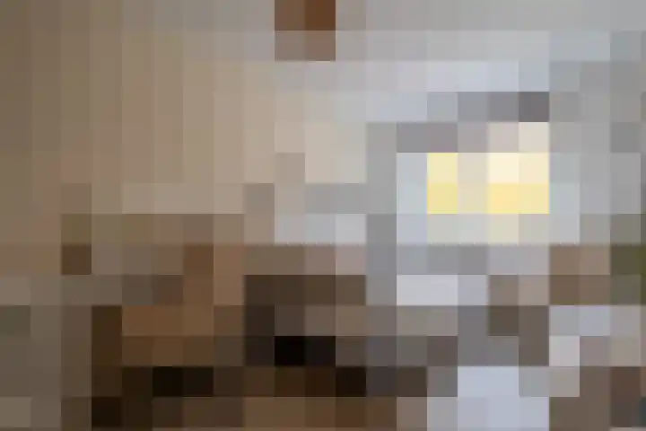 De Venne 10 Beilen thumbnail 19