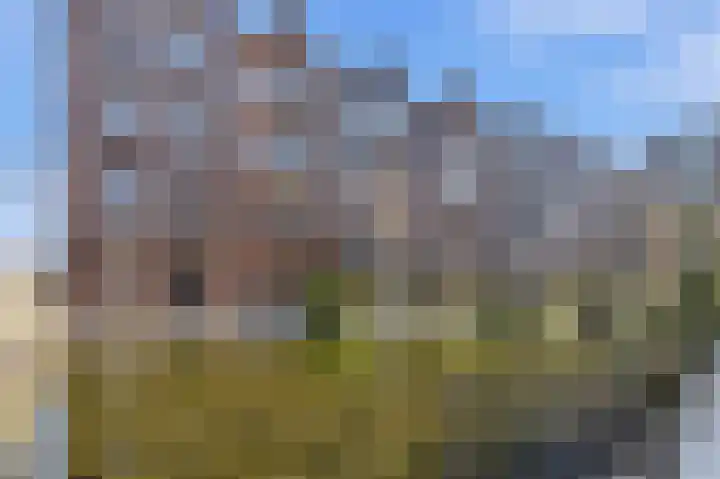 De Venne 10 Beilen thumbnail 21