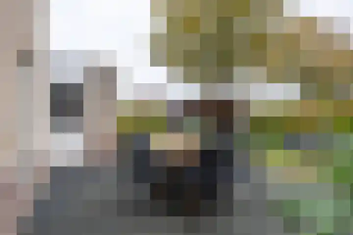 De Venne 10 Beilen thumbnail 23