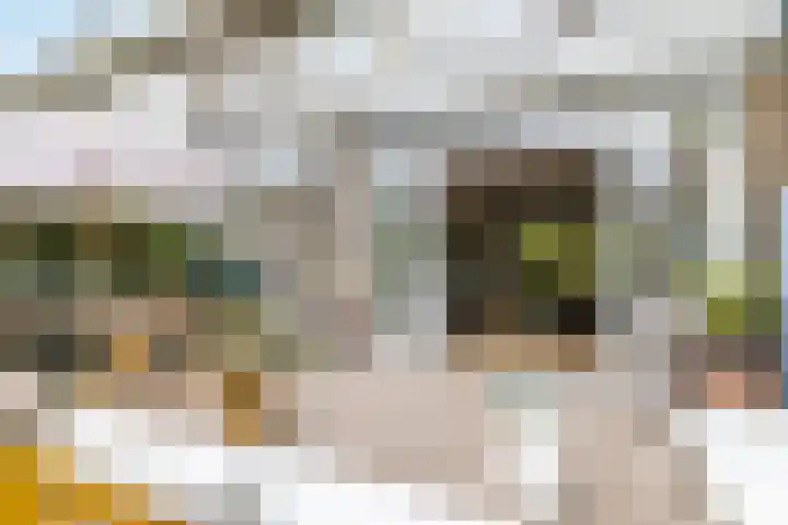 De Venne 10 Beilen thumbnail 24