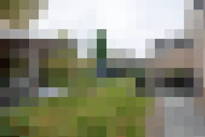De Venne 10 Beilen thumbnail 26