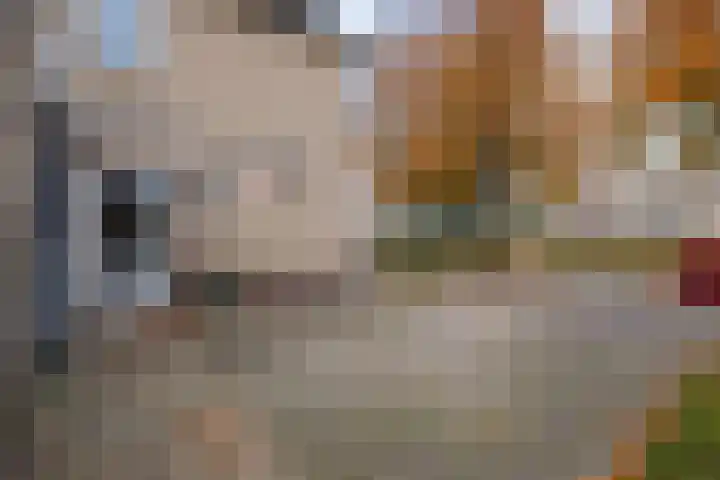 De Venne 10 Beilen thumbnail 28