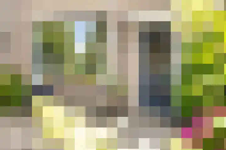 De Venne 10 Beilen thumbnail 5