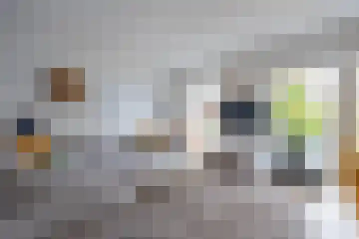 De Venne 10 Beilen thumbnail 7