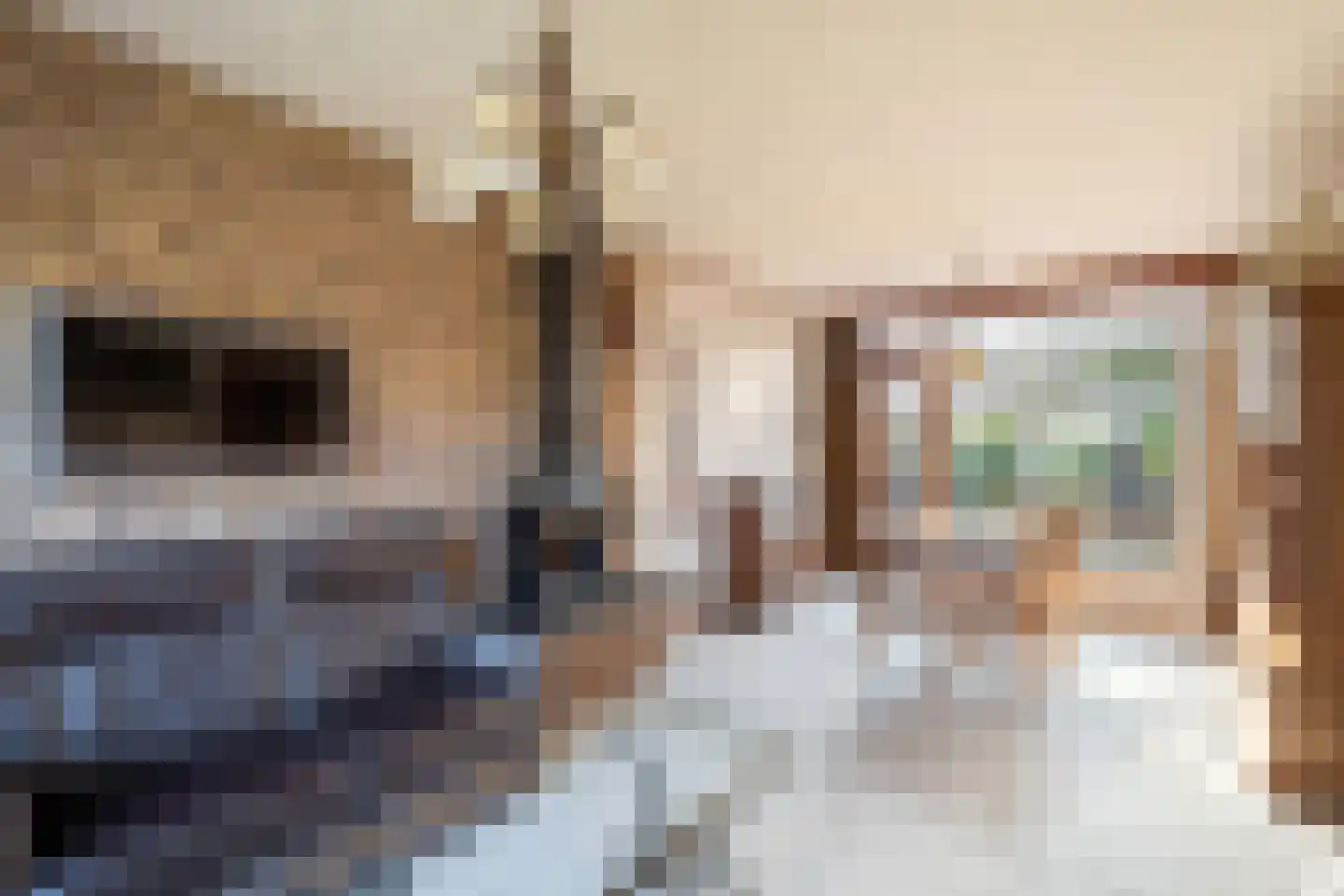 De Venne 10 Beilen thumbnail 8