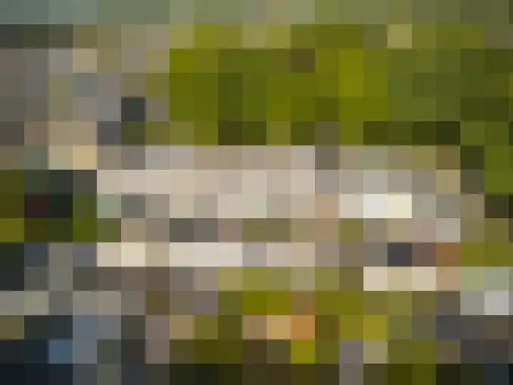 De Venne 10 Beilen thumbnail 9