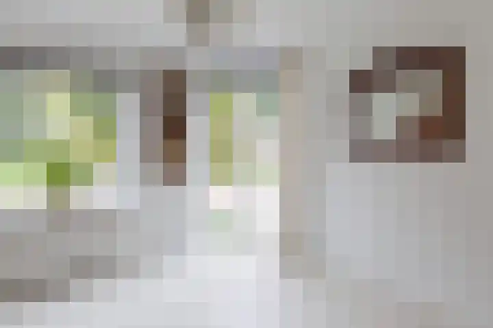 De Venne 7 Wolvega thumbnail 10