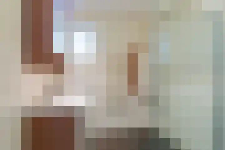 De Venne 7 Wolvega thumbnail 11