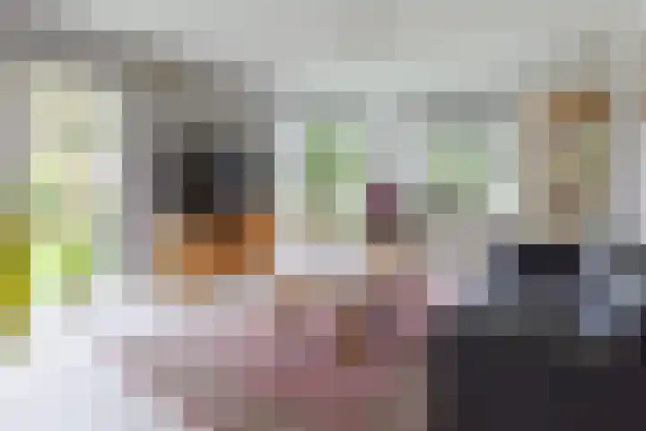 De Venne 7 Wolvega thumbnail 15