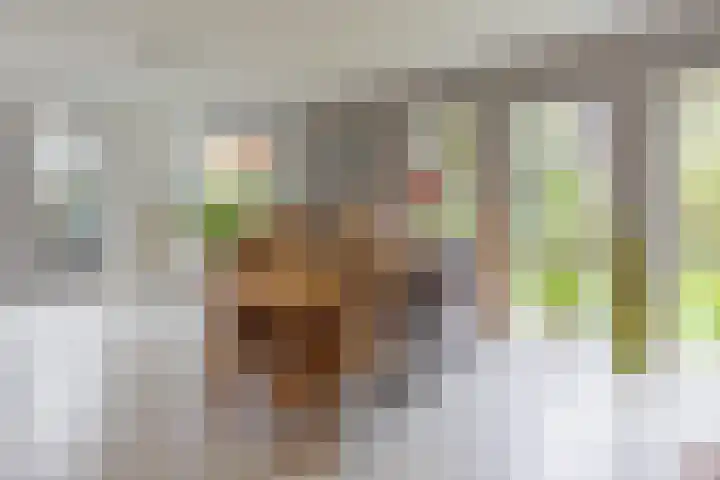 De Venne 7 Wolvega thumbnail 20