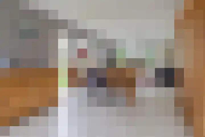 De Venne 7 Wolvega thumbnail 21