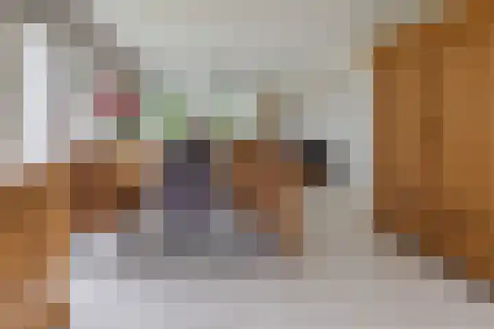 De Venne 7 Wolvega thumbnail 22