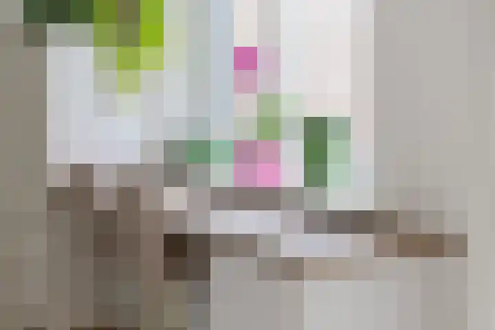 De Venne 7 Wolvega thumbnail 24