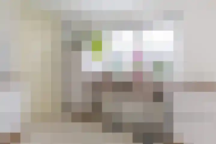 De Venne 7 Wolvega thumbnail 25