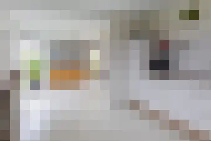 De Venne 7 Wolvega thumbnail 26