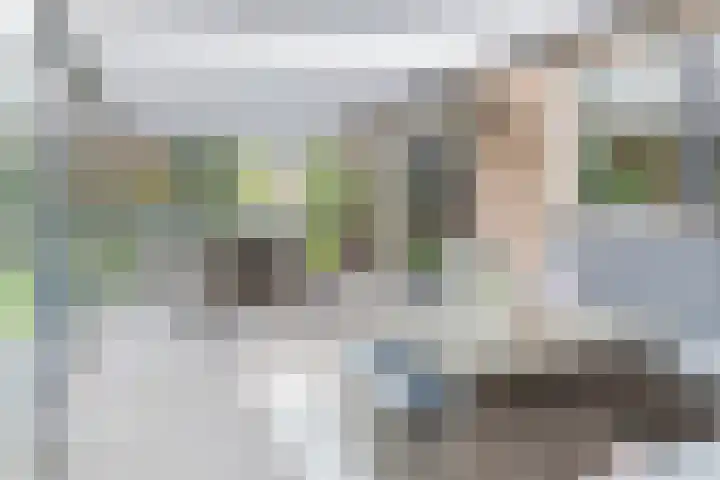 De Venne 7 Wolvega thumbnail 30